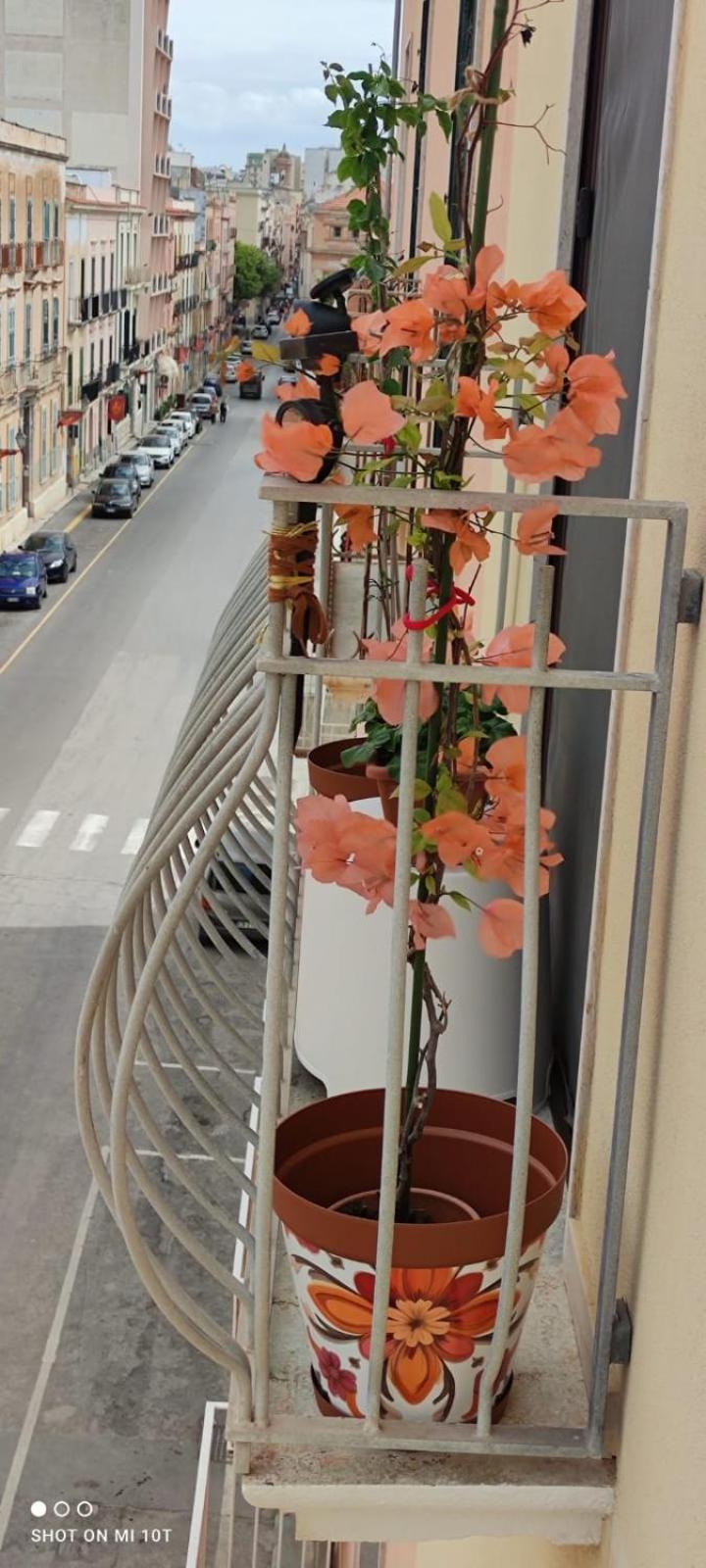 Elisir Casa Vacanze Trapani Esterno foto